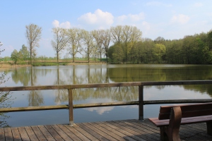 See_Reichardsroth