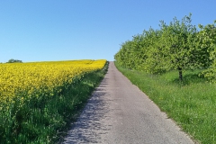 Weg_172513