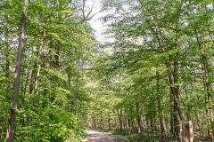 20190501_174519